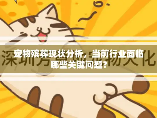 宠物殡葬现状分析，当前行业面临哪些关键问题？