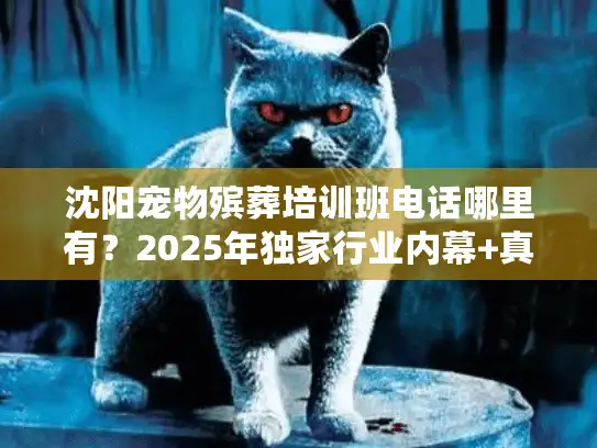 沈阳宠物殡葬培训班电话哪里有？2025年独家行业内幕+真实服务案例解析