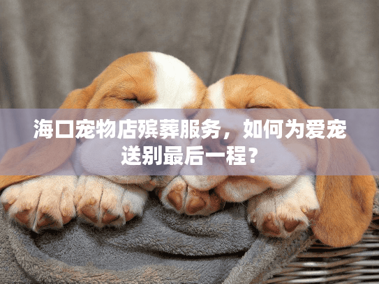 海口宠物店殡葬服务，如何为爱宠送别最后一程？