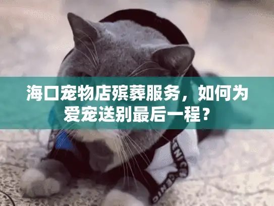 海口宠物店殡葬服务，如何为爱宠送别最后一程？