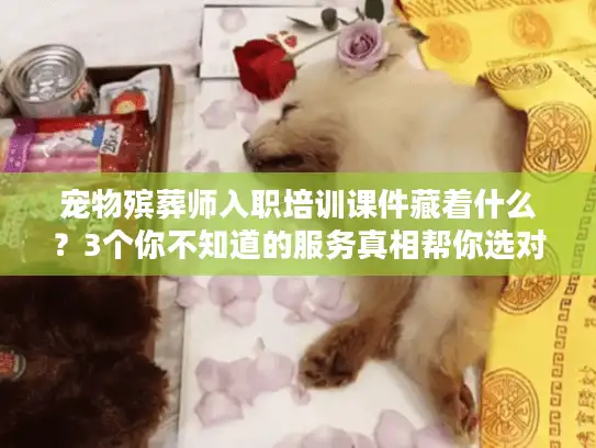 宠物殡葬师入职培训课件藏着什么？3个你不知道的服务真相帮你选对机构