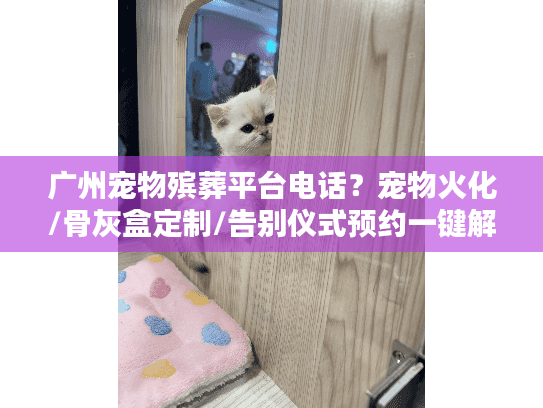 广州宠物殡葬平台电话？宠物火化/骨灰盒定制/告别仪式预约一键解决