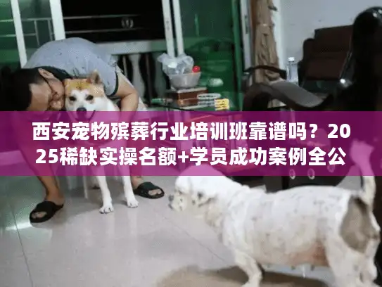西安宠物殡葬行业培训班靠谱吗？2025稀缺实操名额+学员成功案例全公开