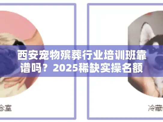 西安宠物殡葬行业培训班靠谱吗？2025稀缺实操名额+学员成功案例全公开