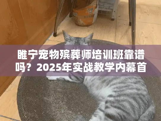 睢宁宠物殡葬师培训班靠谱吗?2025年实战教学内幕首次曝光 睢宁宠物殡葬师培训班靠谱吗?2025年实战教学内幕首次曝光