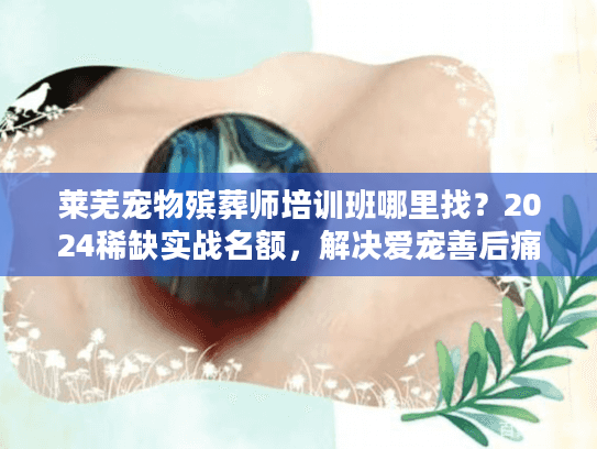 莱芜宠物殡葬师培训班哪里找？2024稀缺实战名额，解决爱宠善后痛点