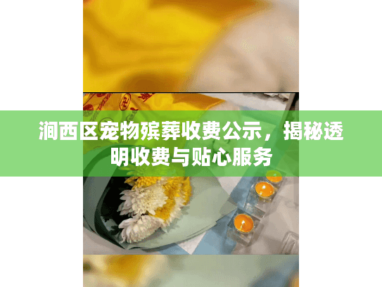 涧西区宠物殡葬收费公示，揭秘透明收费与贴心服务