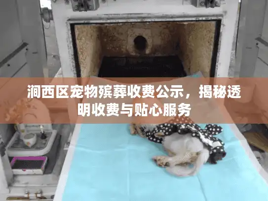涧西区宠物殡葬收费公示，揭秘透明收费与贴心服务