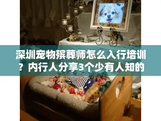 深圳宠物殡葬师怎么入行培训？内行人分享3个少有人知的实战路径