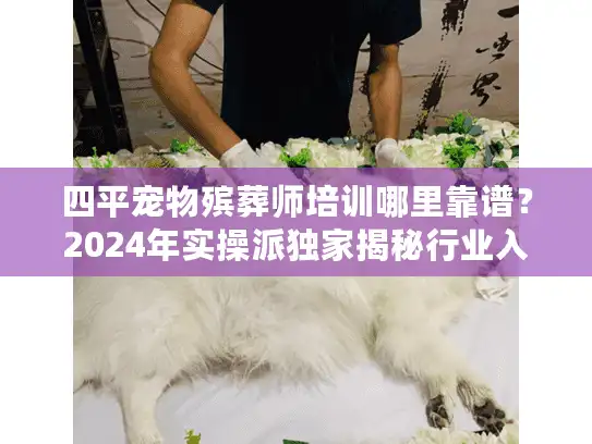 四平宠物殡葬师培训哪里靠谱？2024年实操派独家揭秘行业入门必看