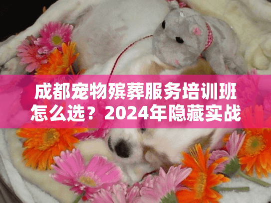 成都宠物殡葬服务培训班怎么选？2024年隐藏实战技巧首次公开！