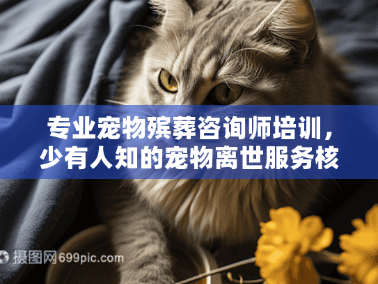 专业宠物殡葬咨询师培训，少有人知的宠物离世服务核心，你选对了吗？