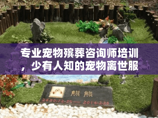 专业宠物殡葬咨询师培训，少有人知的宠物离世服务核心，你选对了吗？