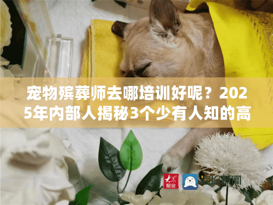 宠物殡葬师去哪培训好呢？2025年内部人揭秘3个少有人知的高认可度渠道