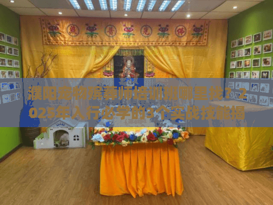 濮阳宠物殡葬师培训班哪里找？2025年入行必学的3个实战技能揭秘