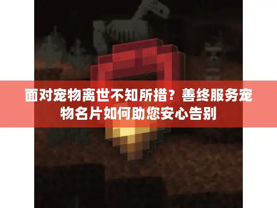 面对宠物离世不知所措?善终服务宠物名片如何助您安心告别 面对宠物离世不知所措?善终服务宠物名片如何助您安心告别