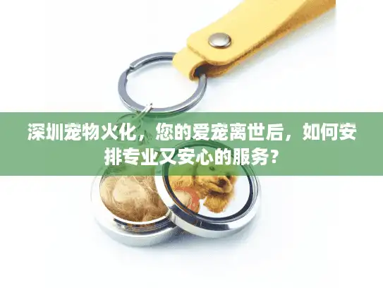 深圳宠物火化,您的爱宠离世后,如何安排专业又安心的服务? 深圳宠物火化,您的爱宠离世后,如何安排专业又安心的服务?