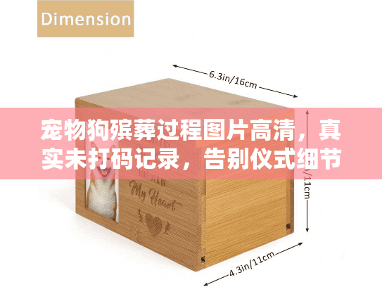 宠物狗殡葬过程图片高清，真实未打码记录，告别仪式细节全公开？