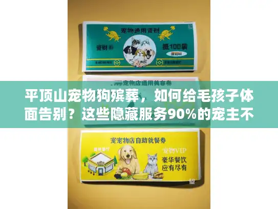 平顶山宠物狗殡葬，如何给毛孩子体面告别？这些隐藏服务90%的宠主不知道！