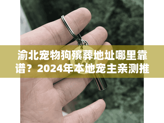 渝北宠物狗殡葬地址哪里靠谱？2024年本地宠主亲测推荐（附服务细节）