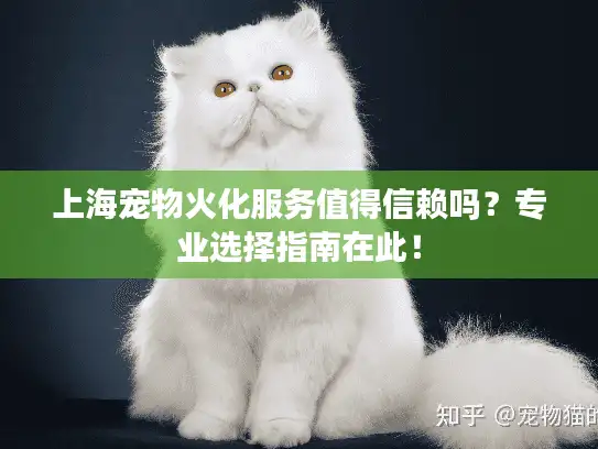 上海宠物火化服务值得信赖吗?专业选择指南在此! 上海宠物火化服务值得信赖吗?专业选择指南在此!