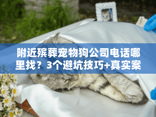 附近殡葬宠物狗公司电话哪里找?3个避坑技巧+真实案例教你快速对接靠谱服务! 附近殡葬宠物狗公司电话哪里找?3个避坑技巧+真实案例教你快速对接靠谱服务!