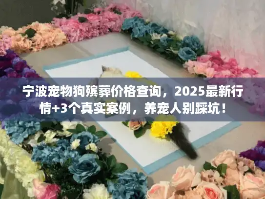 宁波宠物狗殡葬价格查询，2025最新行情+3个真实案例，养宠人别踩坑！