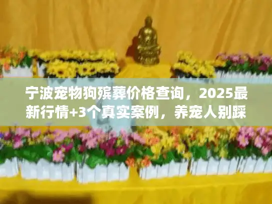 宁波宠物狗殡葬价格查询，2025最新行情+3个真实案例，养宠人别踩坑！