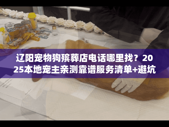 辽阳宠物狗殡葬店电话哪里找？2025本地宠主亲测靠谱服务清单+避坑技巧