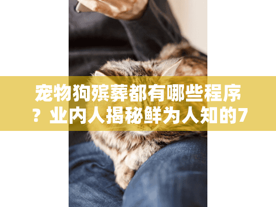 宠物狗殡葬都有哪些程序？业内人揭秘鲜为人知的7大关键步骤