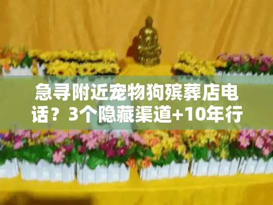 急寻附近宠物狗殡葬店电话？3个隐藏渠道+10年行业人避坑清单