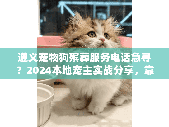 遵义宠物狗殡葬服务电话急寻？2024本地宠主实战分享，靠谱机构+上门流程