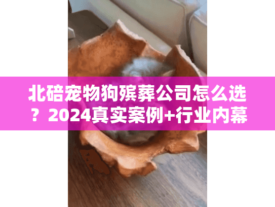 北碚宠物狗殡葬公司怎么选？2024真实案例+行业内幕首次曝光