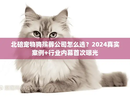 北碚宠物狗殡葬公司怎么选？2024真实案例+行业内幕首次曝光