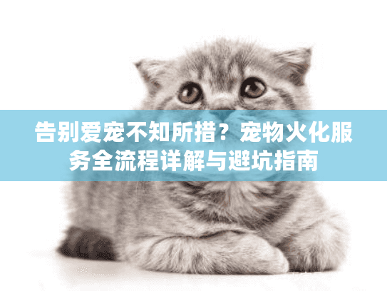 告别爱宠不知所措?宠物火化服务全流程详解与避坑指南 告别爱宠不知所措?宠物火化服务全流程详解与避坑指南
