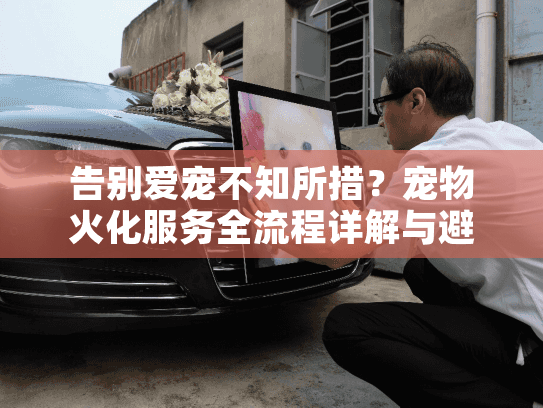 告别爱宠不知所措?宠物火化服务全流程详解与避坑指南 告别爱宠不知所措?宠物火化服务全流程详解与避坑指南