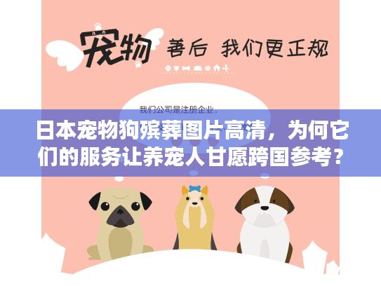 日本宠物狗殡葬图片高清，为何它们的服务让养宠人甘愿跨国参考？