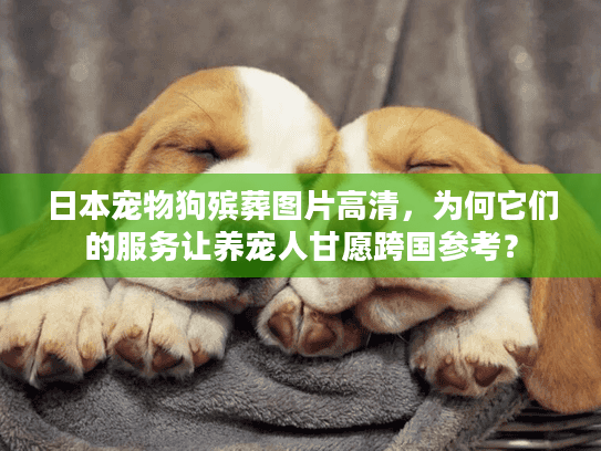 日本宠物狗殡葬图片高清，为何它们的服务让养宠人甘愿跨国参考？