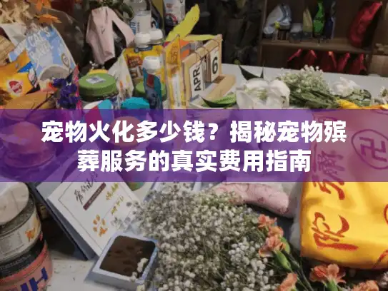 宠物火化多少钱？揭秘宠物殡葬服务的真实费用指南