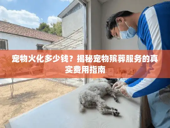 宠物火化多少钱？揭秘宠物殡葬服务的真实费用指南