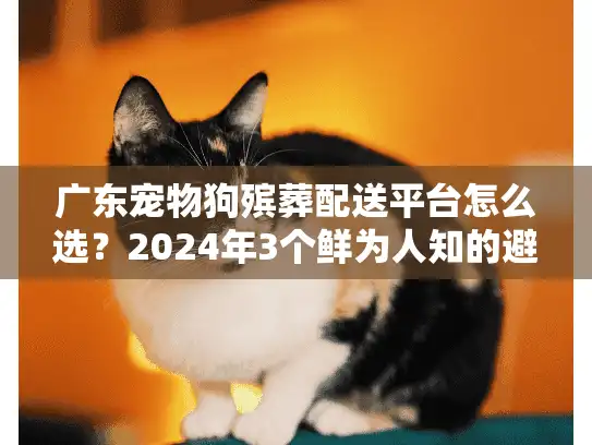 广东宠物狗殡葬配送平台怎么选?2024年3个鲜为人知的避坑技巧+真实案例解析 广东宠物狗殡葬配送平台怎么选?2024年3个鲜为人知的避坑技巧+真实案例解析