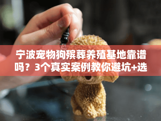 宁波宠物狗殡葬养殖基地靠谱吗？3个真实案例教你避坑+选对服务