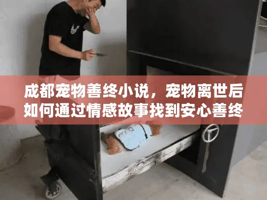 成都宠物善终小说，宠物离世后如何通过情感故事找到安心善终服务？