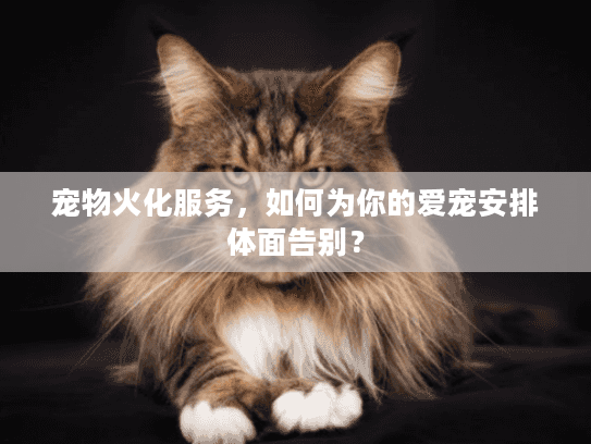 宠物火化服务，如何为你的爱宠安排体面告别？