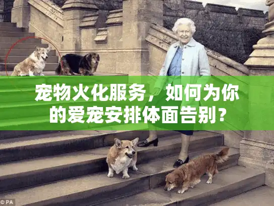宠物火化服务，如何为你的爱宠安排体面告别？