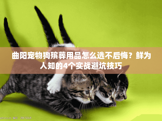 曲阳宠物狗殡葬用品怎么选不后悔?鲜为人知的4个实战避坑技巧 曲阳宠物狗殡葬用品怎么选不后悔?鲜为人知的4个实战避坑技巧