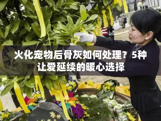 火化宠物后骨灰如何处理？5种让爱延续的暖心选择