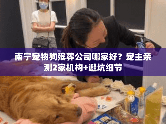 南宁宠物狗殡葬公司哪家好？宠主亲测2家机构+避坑细节