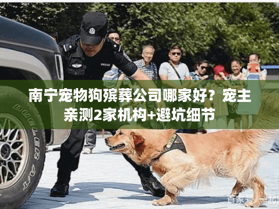 南宁宠物狗殡葬公司哪家好？宠主亲测2家机构+避坑细节