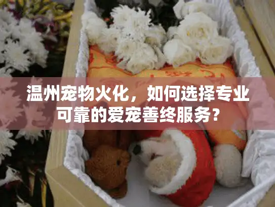 温州宠物火化，如何选择专业可靠的爱宠善终服务？